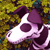 :icononedogwalking: