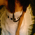 :icononeglimpse: