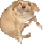 :icononelastorphan: