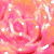 :icononenightatatime:
