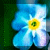 :icononeofthefallen63: