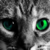 :icononeofthegods: