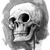 :icononesilentreaper: