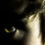 :icononespeck:
