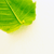 :iconOnetothree:
