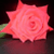 :icononetruedelight: