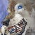 :icononewindcatcher: