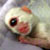 :icononeyedesigns: