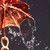 :iconongaku-shojo: