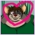 :iconOniAkuba: