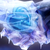 :icononigoru: