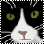 :icononilwyn: