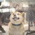 :icononion-13: