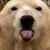 :icononiphire: