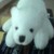 :icononirisutaku:
