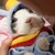 :icononisama82: