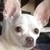 :icononlinebuyer: