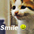 :icononly-gfx: