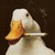 :icononly-he-stands-there: