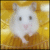 :icononly-traces-found: