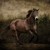 :icononly1blessed-cowgirl: