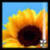 :icononlyairy: