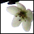 :icononlyconnect: