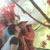 :icononlyn14: