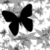 :icononlysa: