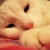 :iconontheballroomfloor: