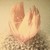 :icononthemorningdew: