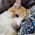 onthewingsoftwilight :icononthewingsoftwilight: