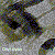 :icononyl-ryan: