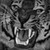 OnyxDogStudios :icononyxdogstudios: