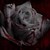 :icononyxrain91: