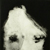 :icononzo-dbr: