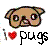:iconoohorange03: