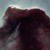 :iconookami-no-getsuei: