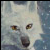 :iconookami1993: