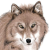 :iconookami24: