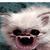 :iconookami50: