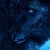 :iconOokamiPoke: