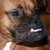 :iconookyspy:
