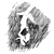 :iconoolong32: