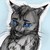 :iconoonightrainoo: