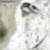 oorosco :iconoorosco: