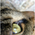 :iconoPak--: