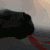 :iconopakie: