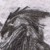 :iconopal-noctua:
