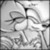 :iconopal380: